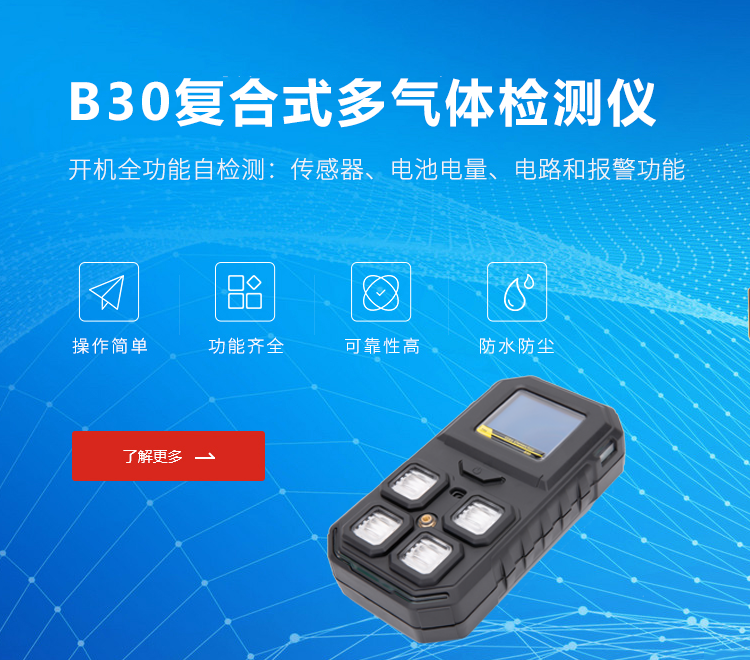 B30便攜式單一氣體檢測儀
